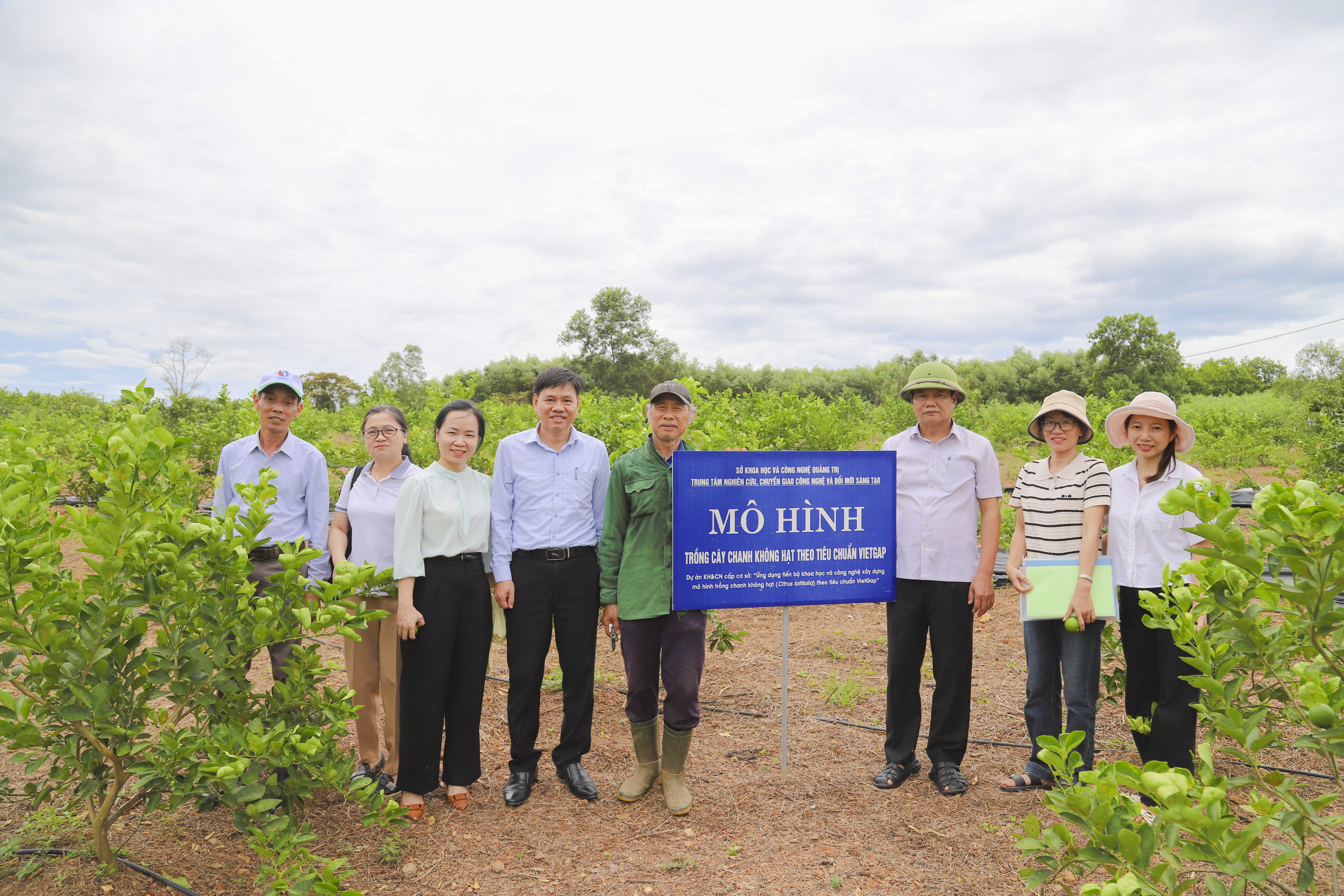 Kiểm tra thực địa nhiệm vụ khoa học và công nghệ: “Ứng dụng tiến bộ khoa học và công nghệ xây dựng mô hình trồng chanh không hạt (Citrus latifolia) theo tiêu chuẩn VietGAP”